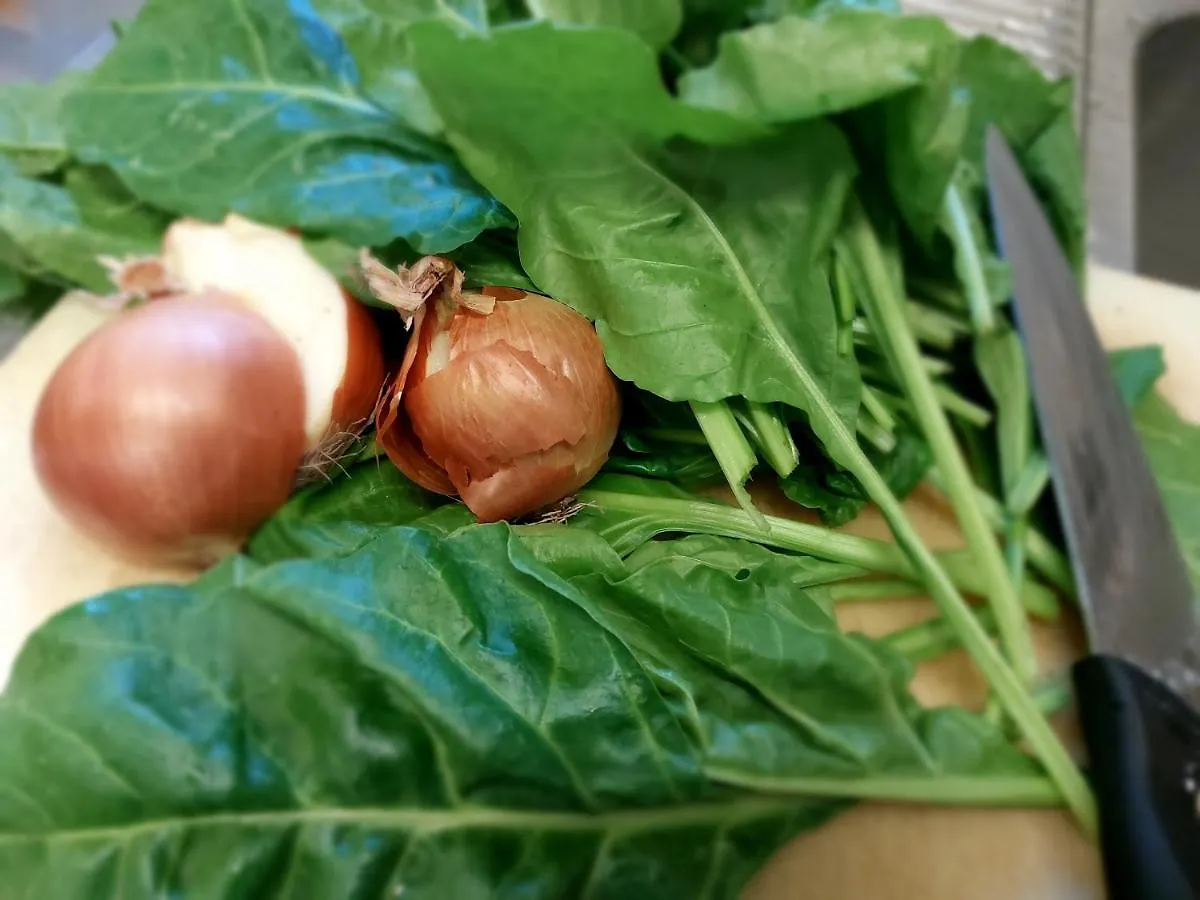 فيلا Nonna Litta ألبينغا 0*,  إيطاليا